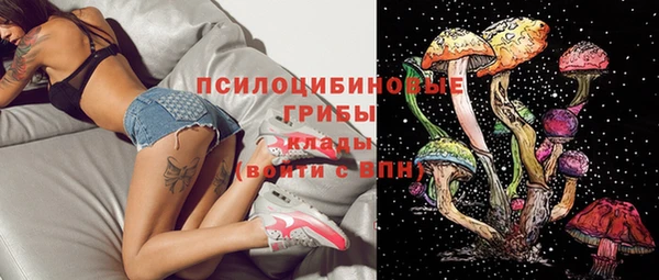 apvp Белоозёрский