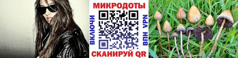 Галлюциногенные грибы Magic Shrooms  гидра онион  Ялуторовск  где найти наркотики 